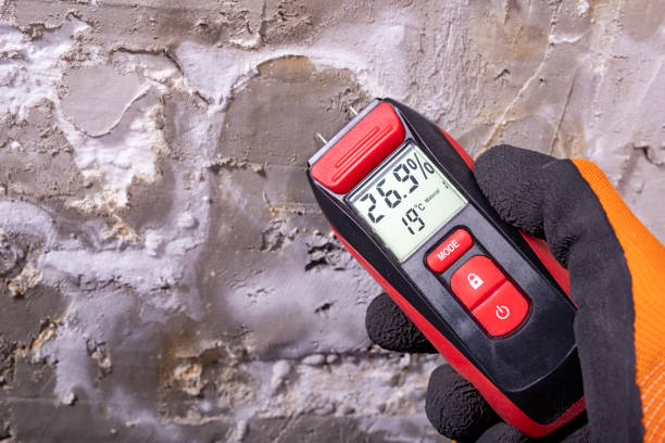 Best Office Mold Removal Services  in North Pembroke, MA