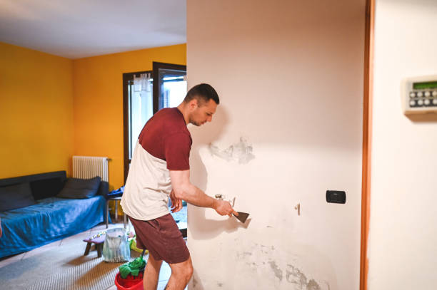 Best Commercial Mold Removal  in North Pembroke, MA